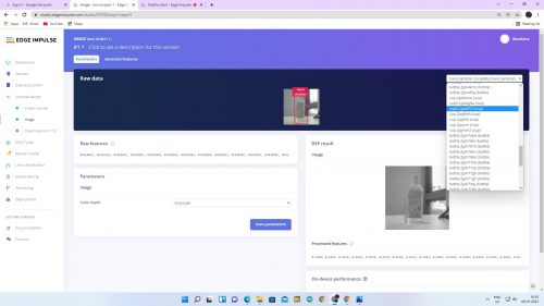 Edge Impulse Raw Data Feature