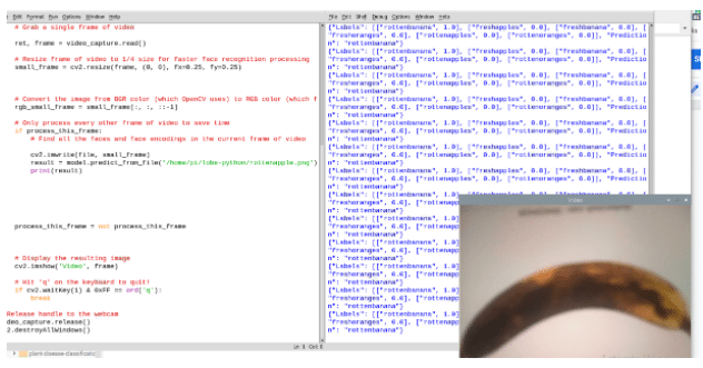 Rotten Fruit Detection using Machine Learning